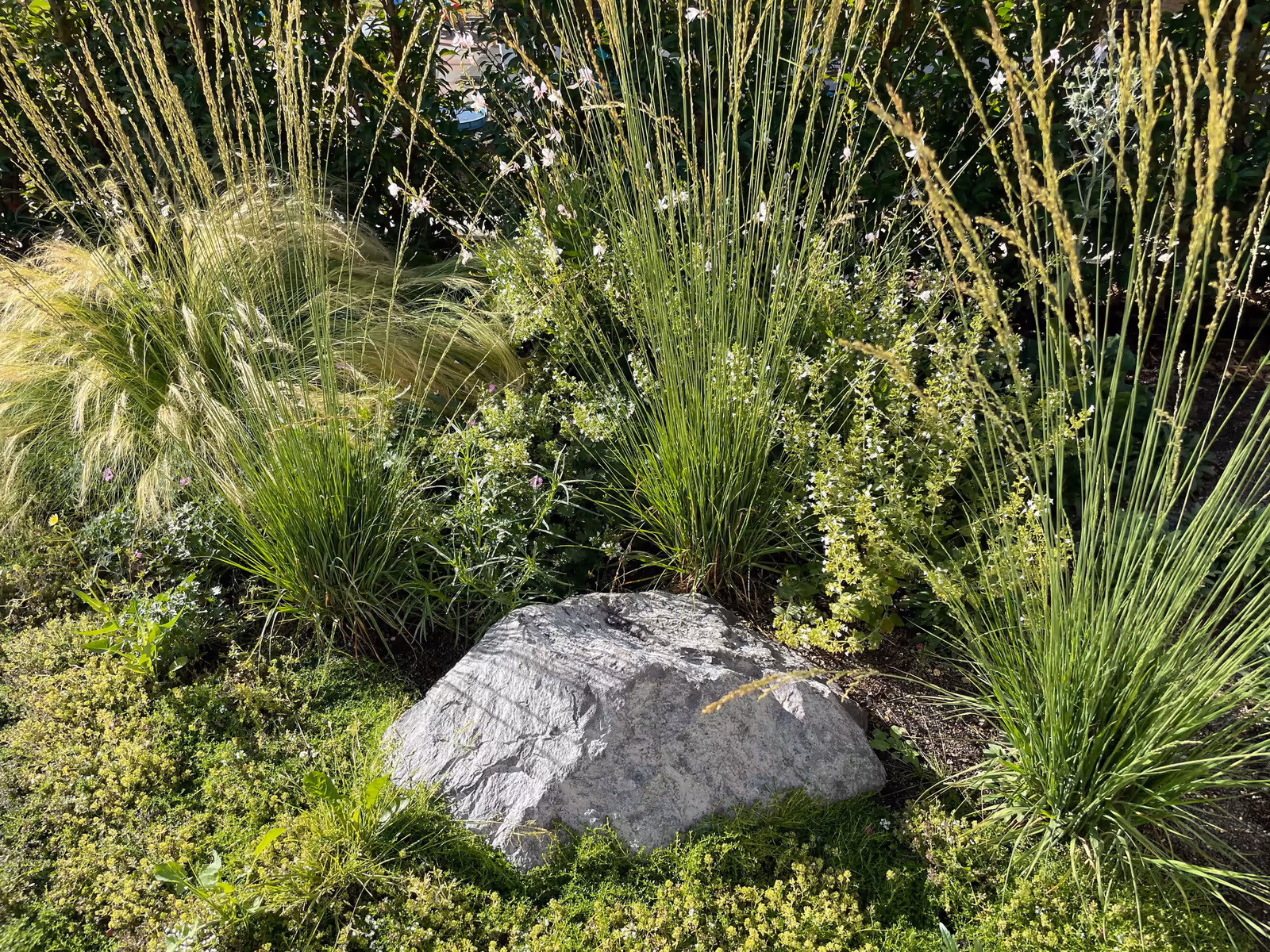 Gartenneugestaltung mit Frankenschotter in Andernach – Stefan Keiser Gartengestaltung