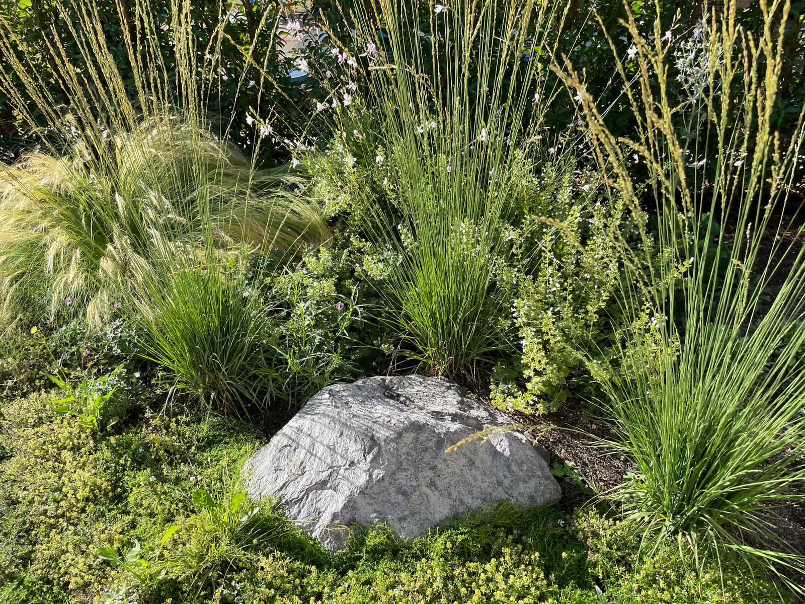 Gartenneugestaltung mit Frankenschotter in Andernach – Stefan Keiser Gartengestaltung