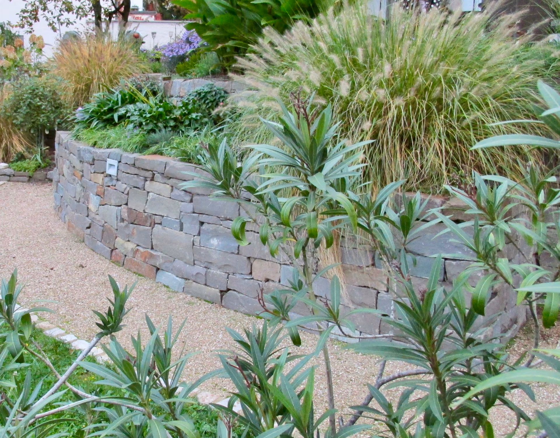 Terrasse aus Grauwacke in Bad Hönningen – Stefan Keiser Gartengestaltung
