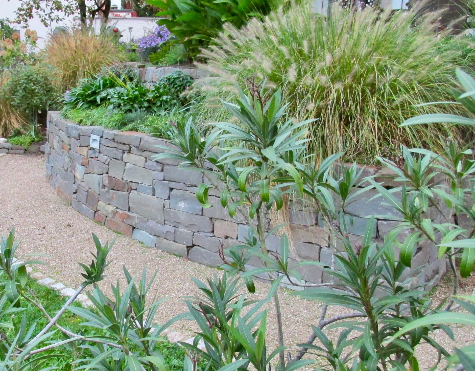 Terrasse aus Grauwacke in Bad Hönningen – Stefan Keiser Gartengestaltung