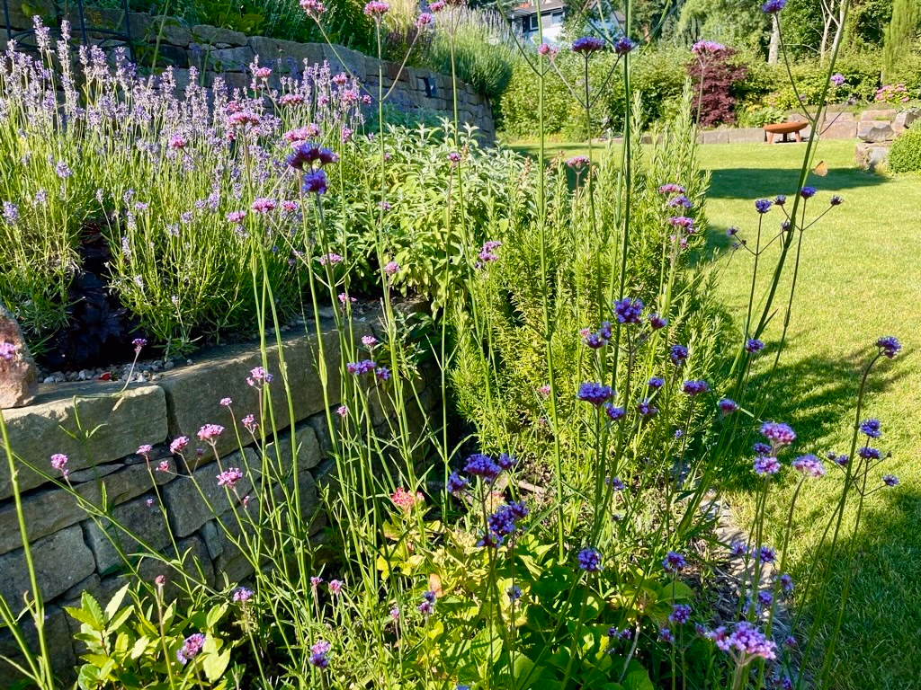 Schwimmteich mit Holzterrasse aus Bangkirai in Ittenbach – Stefan Keiser Gartengestaltung
