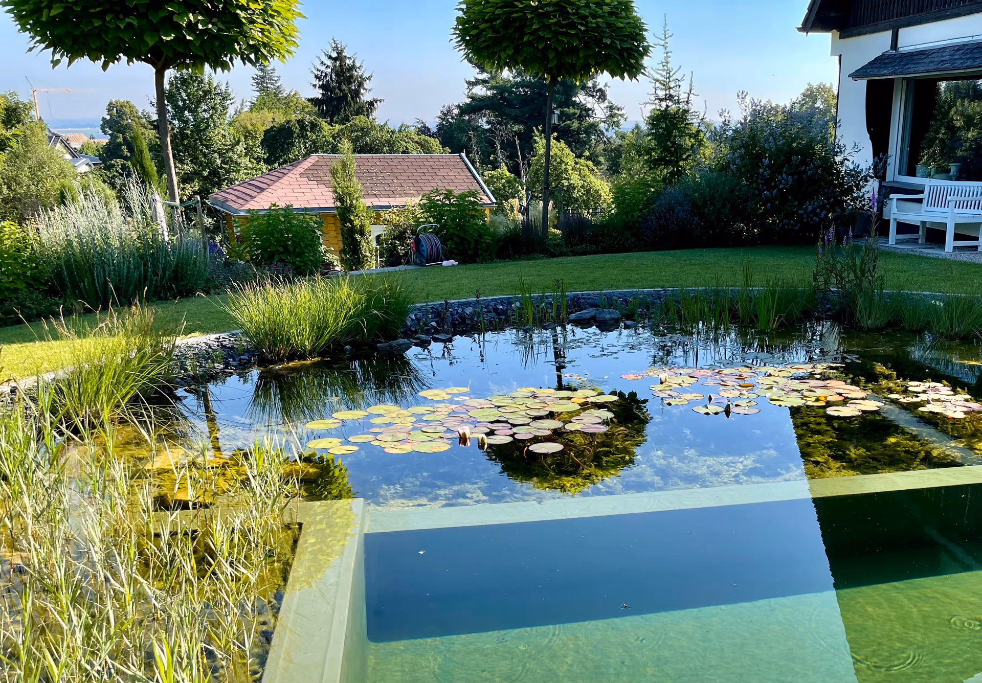 Schwimmteich mit Holzterrasse aus Bangkirai in Ittenbach – Stefan Keiser Gartengestaltung