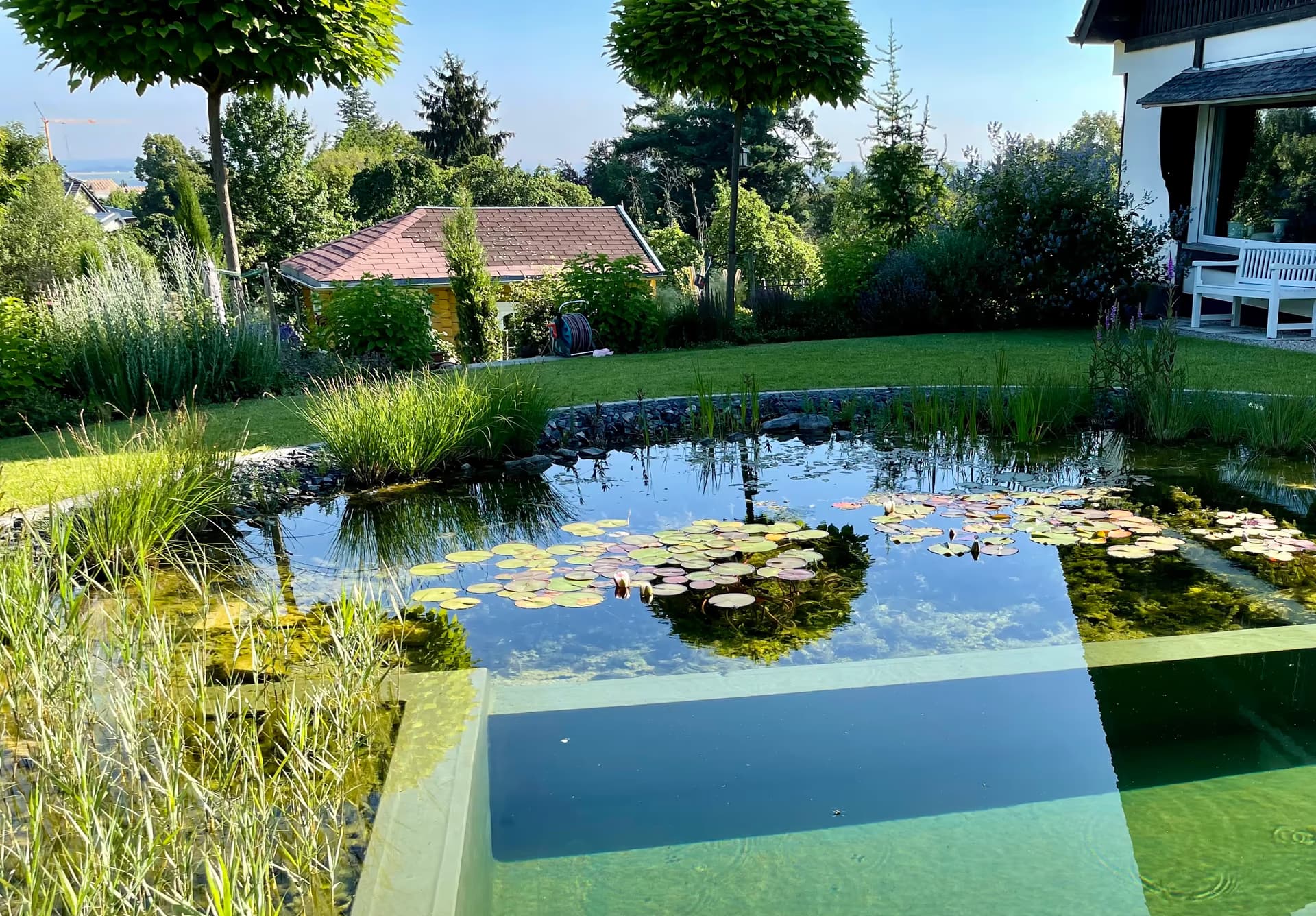 Schwimmteich mit Holzterrasse aus Bangkirai in Ittenbach – Stefan Keiser Gartengestaltung