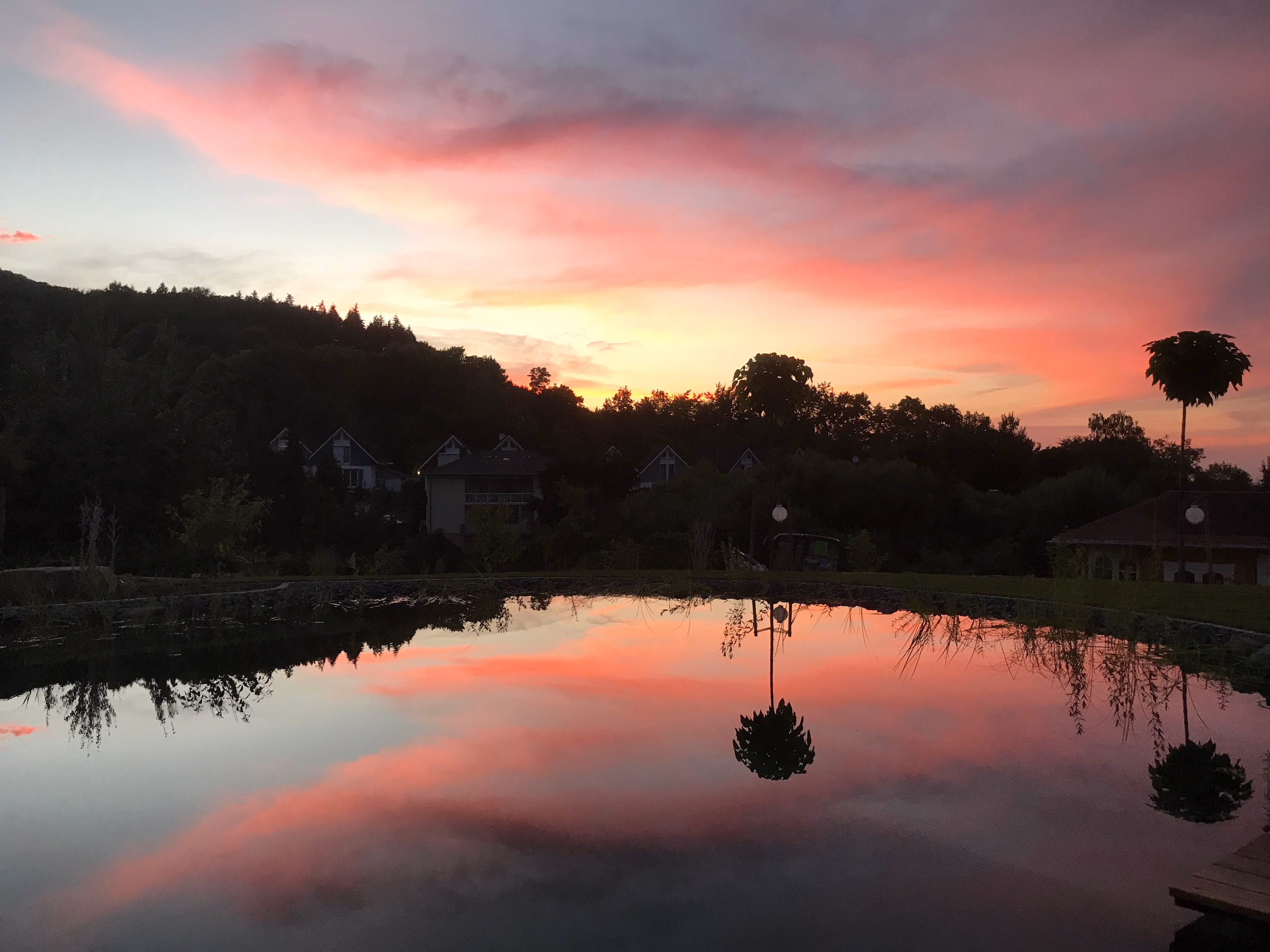 Schwimmteich bei Sonnenuntergang in Ittenbach – Stefan Keiser Gartengestaltung