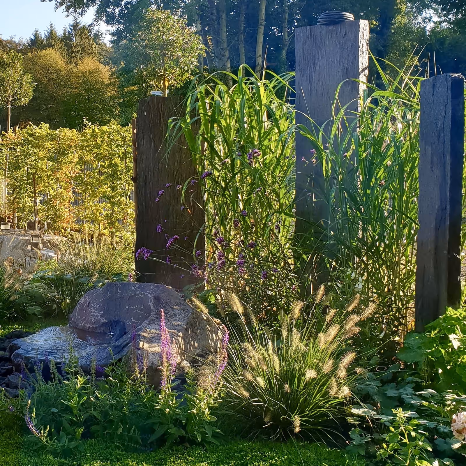 Wasser & Naturpool – Beispielbild 7 – Stefan Keiser Gartengestaltung